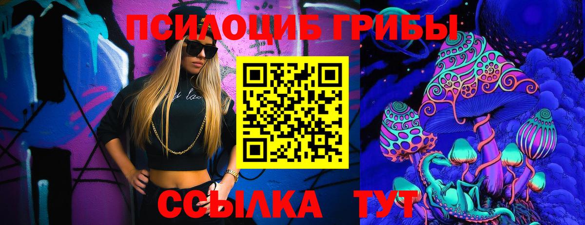 как найти наркотики  Галлюциногенные грибы MAGIC MUSHROOMS  Вход с VPN  Вологда 